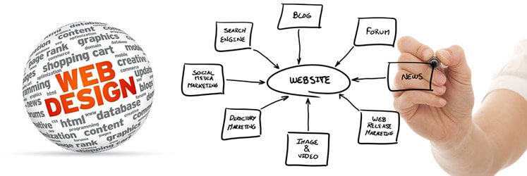 Estructura Contenido Web