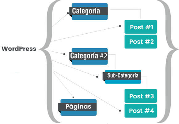 Estructura Web